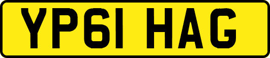 YP61HAG