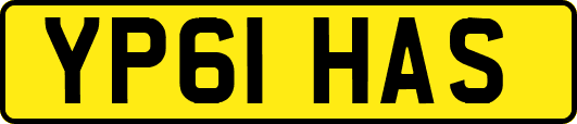 YP61HAS