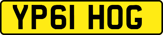 YP61HOG