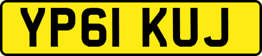 YP61KUJ