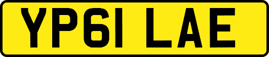 YP61LAE