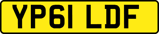 YP61LDF