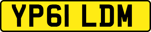 YP61LDM