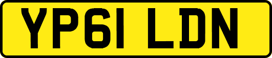 YP61LDN