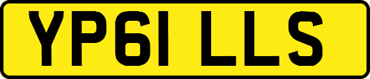 YP61LLS