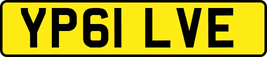 YP61LVE