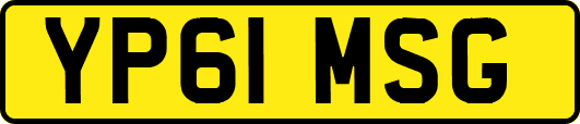 YP61MSG