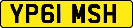 YP61MSH