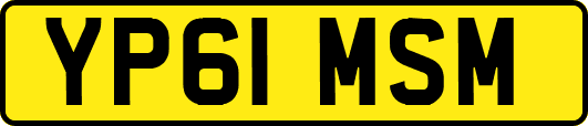 YP61MSM