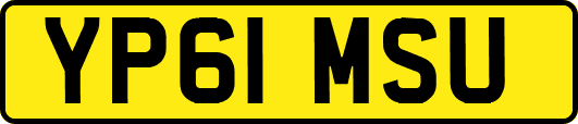 YP61MSU