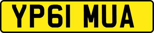 YP61MUA