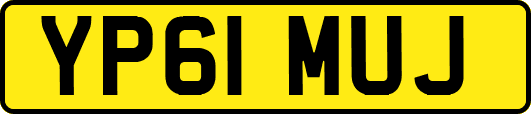 YP61MUJ