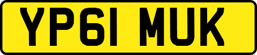 YP61MUK