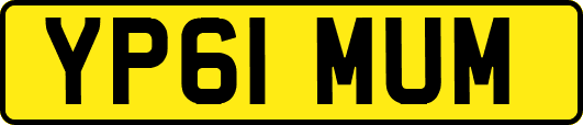 YP61MUM