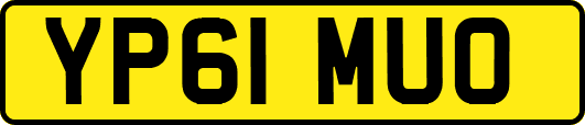 YP61MUO