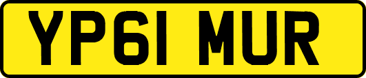 YP61MUR