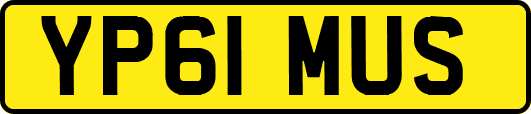 YP61MUS