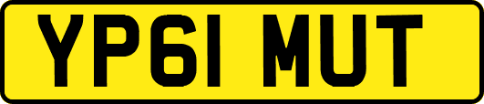 YP61MUT