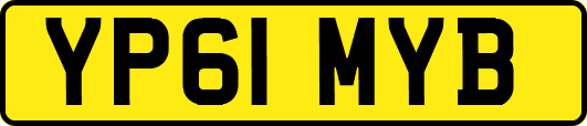 YP61MYB