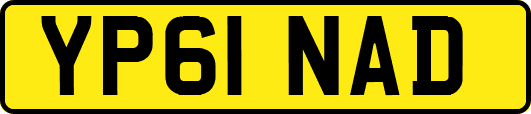 YP61NAD
