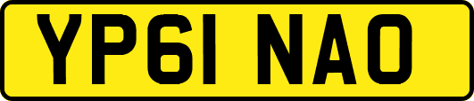 YP61NAO