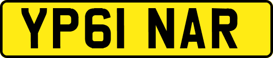 YP61NAR