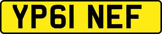 YP61NEF