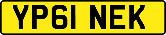YP61NEK
