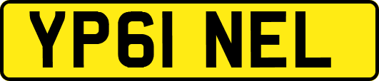 YP61NEL