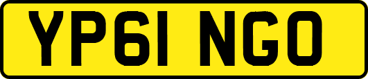 YP61NGO
