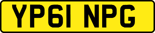 YP61NPG