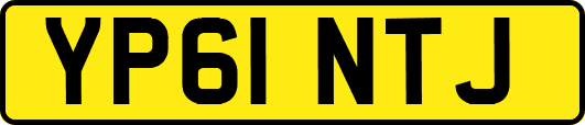 YP61NTJ