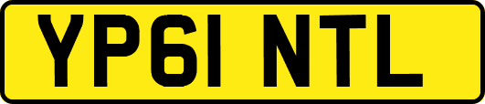 YP61NTL