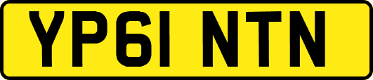 YP61NTN