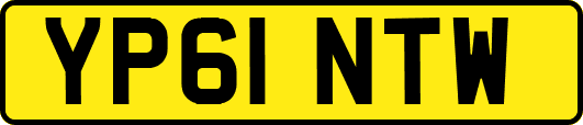 YP61NTW