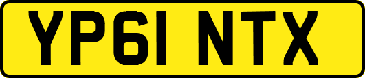 YP61NTX