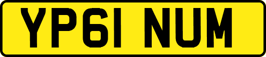 YP61NUM