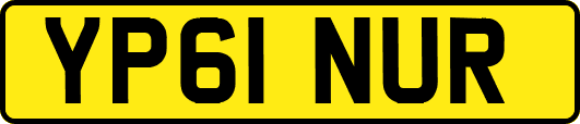 YP61NUR