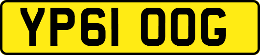 YP61OOG