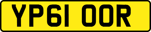 YP61OOR