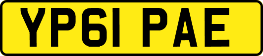 YP61PAE