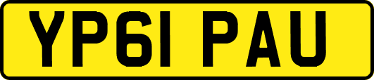 YP61PAU