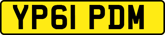 YP61PDM