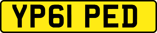 YP61PED
