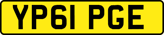 YP61PGE