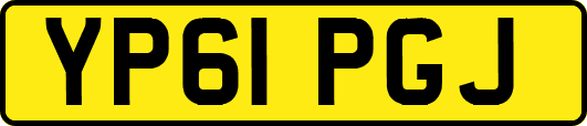 YP61PGJ