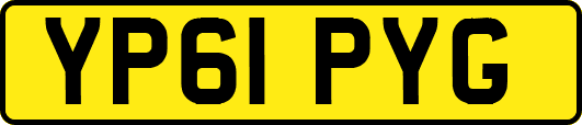 YP61PYG