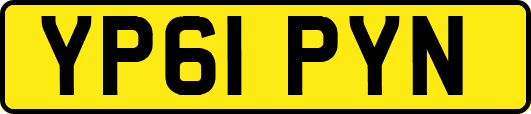 YP61PYN