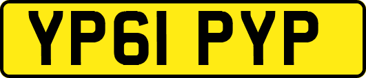 YP61PYP