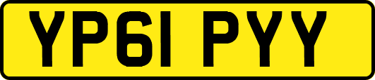 YP61PYY